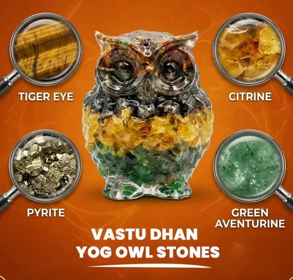 Agatesaura_Combo_of_Big_Money_Magnet_Owl,_Small_Owl_&_Money_Magnet_Tortoise_Decorative_Showpiece__-__4_cm_(Crystal,_Multicolor)
