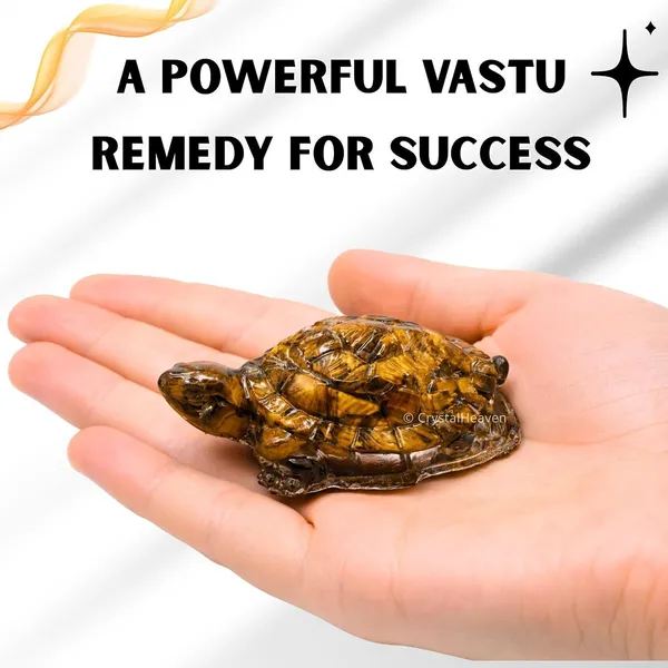 Agatesaura_Tiger_Eye_Tortoise_for_Prosperity,_Luck_and_Positive_Energy_Decor_Decorative_Showpiece__-__3_cm_(Stone,_Multicolor)