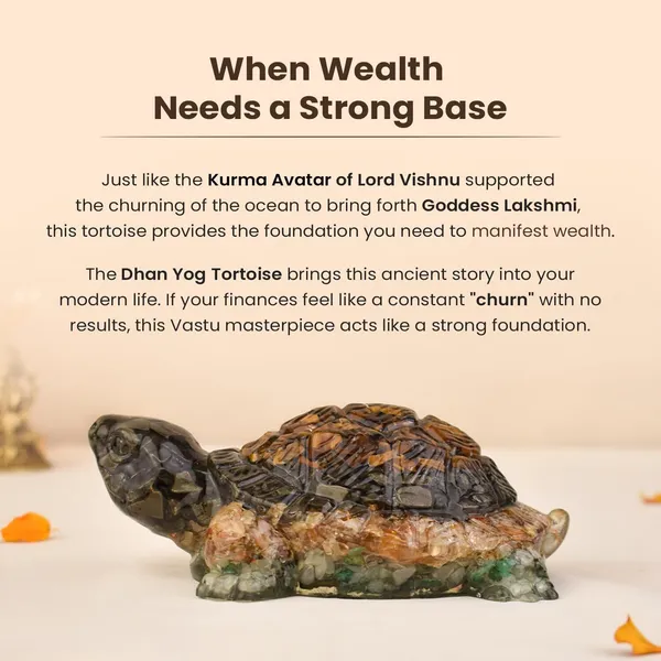 Agatesaura_Natural_Seven_Chakra_Crystal_Tortoise_for_Vastu_Feng_Shui_Home_Office_Decor_Gift_Decorative_Showpiece__-__2.54_cm_(Stone,_Multicolor)