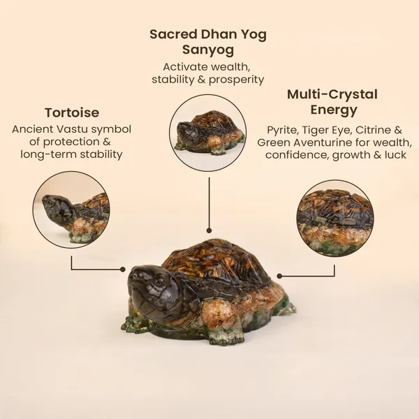 Agatesaura_Natural_Seven_Chakra_Crystal_Tortoise_for_Vastu_Feng_Shui_Home_Office_Decor_Gift_Decorative_Showpiece__-__2.54_cm_(Stone,_Multicolor)