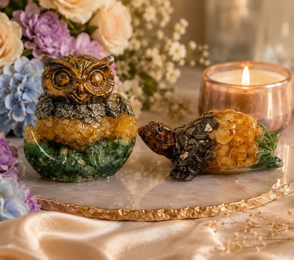Agatesaura_Rudrakesha_Premium_Money_Magnet_Owl_&_Pyrite_Tortoise_Combo_for_Wealth_Decorative_Showpiece__-__8_cm_(Crystal,_Multicolor)
