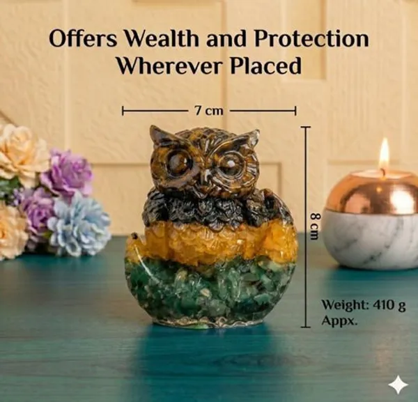 Agatesaura_Rudrakesha_Premium_Money_Magnet_Owl_&_Pyrite_Tortoise_Combo_for_Wealth_Decorative_Showpiece__-__8_cm_(Crystal,_Multicolor)