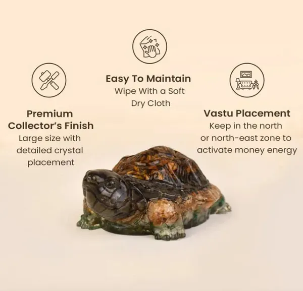 Agatesaura_Arunangshu_Spiritual_Money_Magnet_Tortoise_Decorative_Showpiece__-__3_cm_(Crystal,_Multicolor)