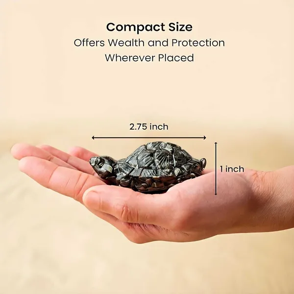 Agatesaura_Natural_Pyrite_Tortoise_for_Money,_Success_&_Prosperity_Decorative_Showpiece__-__2.5_cm_(Stone,_Black)