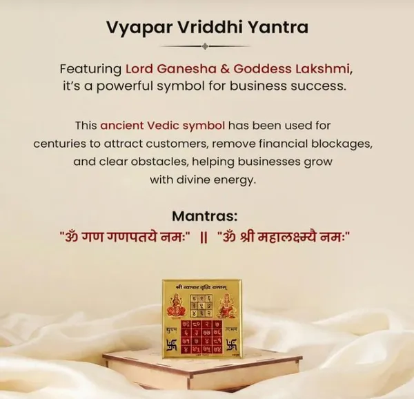 Agatesaura_Rudrakesha_Vyapar_Vriddhi_Yantra_with_Pyrite_Tortoise_Combo_for_Business_Growth_Decorative_Showpiece__-__7_cm_(Stone,_Multicolor)