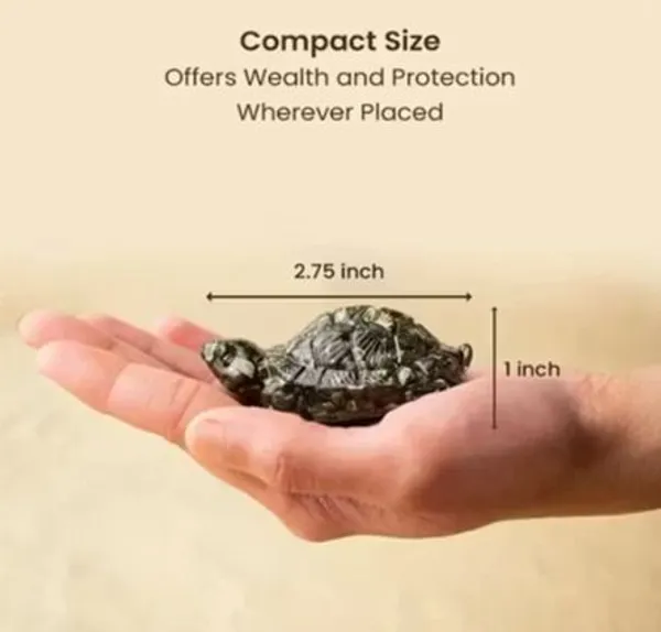 Agatesaura_Rudrakesha_Pyrite_Tortoise_and_Dhan_Yog_Bracelet_Combo_Decorative_Showpiece__-__7_cm_(Crystal,_Multicolor)