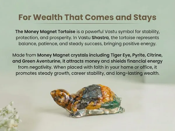 Agatesaura_Money_Magnet_Organ_Tortoise_01_Decorative_Showpiece__-__5_cm_(Crystal,_Stone,_Multicolor)