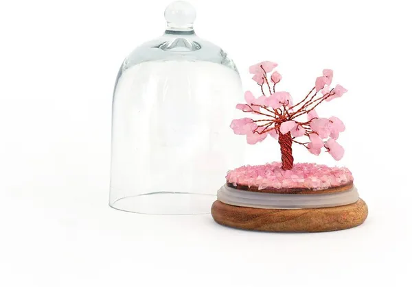 Multiagate_Rose_Quartz_Wish_Tree_in_Glass_Dome_-_Spiritual_Home_Decorative_Showpiece__-__12_cm_(Glass,_Stone,_Wood,_Crystal,_Pink)