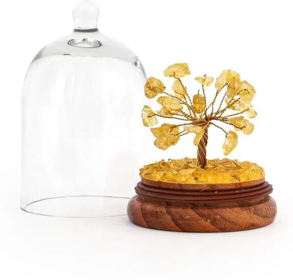 Multiagate_Citrine_Wish_Tree_with_Glass_Dome_-_Spiritual_Home_Decorative_Showpiece__-__12_cm_(Glass,_Stone,_Wood,_Crystal,_Multicolor)