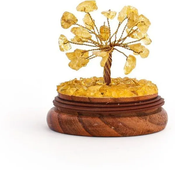 Multiagate_Citrine_Wish_Tree_with_Glass_Dome_-_Spiritual_Home_Decorative_Showpiece__-__12_cm_(Glass,_Stone,_Wood,_Crystal,_Multicolor)