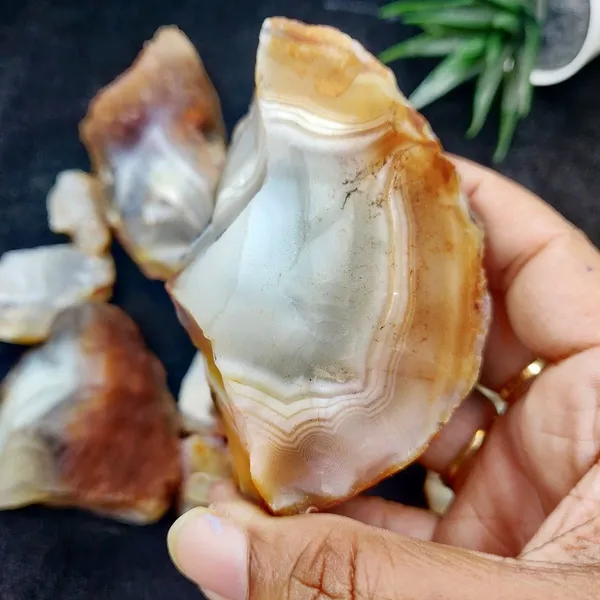 Agatesaura_Natural_Botswana_Agate_Crystals_Raw_Rough_Stones_for_Reiki_Stones_Healing_Regular_Asymmetrical_Crystal_Stone_(Brown_500_g)