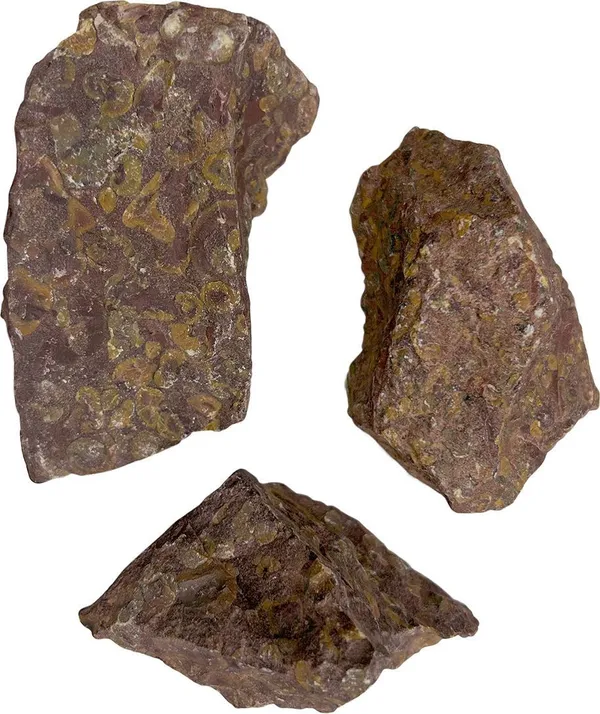 Agatesaura_Natural_Ajooba_Jasper_Rough_Raw_Stone_200_Grams_Regular_Asymmetrical_Crystal_Stone_(Brown_200_g)