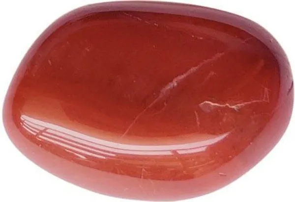 Agatesaura_LN1PCTMS12_Regular_Asymmetrical_Jasper,_Crystal_Stone_(Red_1_Pieces)