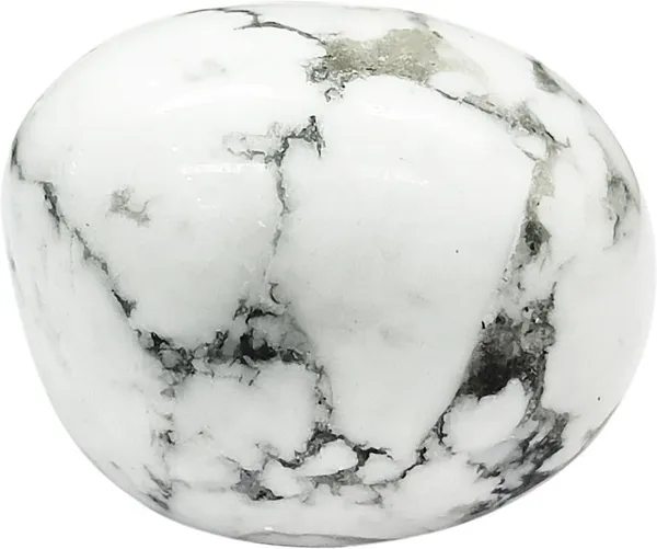Agatesaura_Natural_Single_Howlite_Tumble_Stone_1_pc_Regular_Asymmetrical_Crystal_Pebbles_(White_1_Pieces)