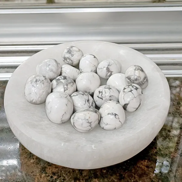 Agatesaura_Natural_Single_Howlite_Tumble_Stone_1_pc_Regular_Asymmetrical_Crystal_Pebbles_(White_1_Pieces)