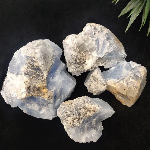 Agatesaura_Natural_Blue_Calcite_Crystals_Raw_Rough_Stones_for_Reiki_Stones_Healing_Regular_Asymmetrical_Crystal_Stone_(Blue_250_g)