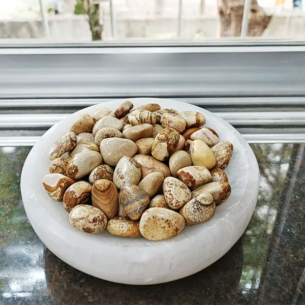 Agatesaura_Picture_Jasper_Tumbled_Stone_200_Regular_Asymmetrical_Crystal_Stone_(Multicolor_200_g)