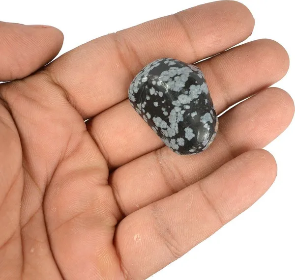 Multiagate_New-_129-Snowflake_Obsidian-Single-Tumble-Stone-1pc_(approx_15-30gm)_Regular_Asymmetrical_Crystal,_Quartz_Stone_(Black,_Grey_1_Pieces)