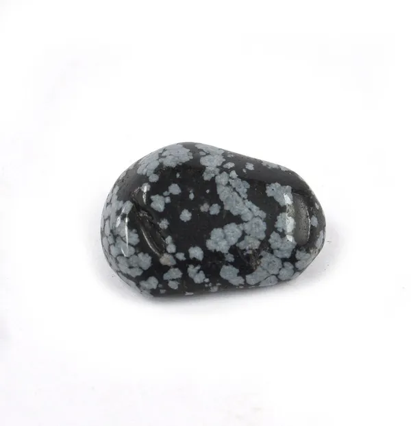 Multiagate_New-_129-Snowflake_Obsidian-Single-Tumble-Stone-1pc_(approx_15-30gm)_Regular_Asymmetrical_Crystal,_Quartz_Stone_(Black,_Grey_1_Pieces)