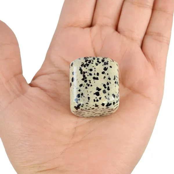 Multiagate_New-_43-Dalmatian_Jasper-Single-Tumble-Stone-1pc_(approx_15-30gm)_Regular_Asymmetrical_Crystal,_Quartz_Stone_(Multicolor_1_Pieces)