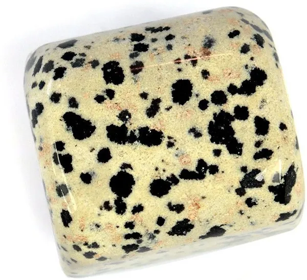 Multiagate_New-_43-Dalmatian_Jasper-Single-Tumble-Stone-1pc_(approx_15-30gm)_Regular_Asymmetrical_Crystal,_Quartz_Stone_(Multicolor_1_Pieces)