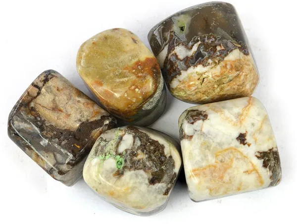 Multiagate_100%_Natural_Wood_AgateCrystal_Tumble_Stone_50gm_Polished_Asymmetrical_Crystal_Stone_(Multicolor_50_g)