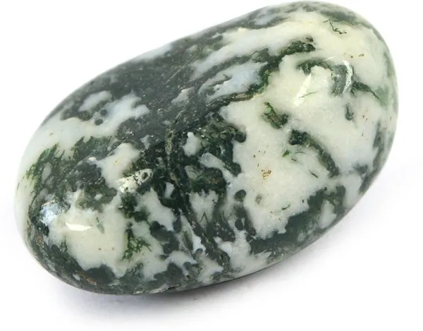 Multiagate_100%_Natural_Crystal_New-141-Tree_Agate_-Tumble-stone-100gm_Approx(100-200)gm_Regular_Asymmetrical_Crystal_Stone_(Multicolor_100_g)
