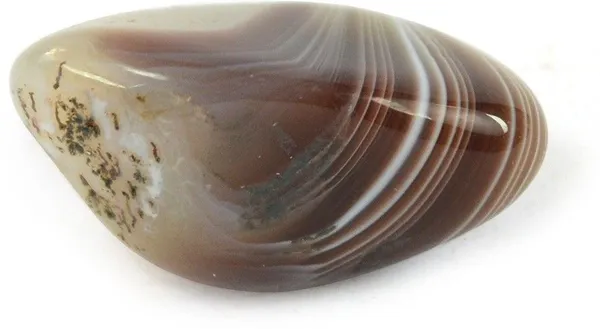 Multiagate_New-_24-Botswana_Agate-Single-Tumble-Stone-1pc_(approx_15-30gm)_Regular_Asymmetrical_Crystal,_Quartz_Stone_(Brown,_White_1_Pieces)
