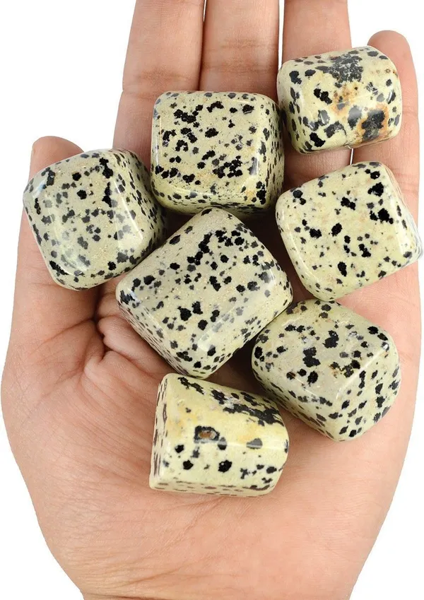 Multiagate_100%_Natural_Crystal_New-43-Dalmatian_Jasper-Tumble-stone-200gm_1_Regular_Asymmetrical_Crystal_Stone_(Multicolor_200_g)