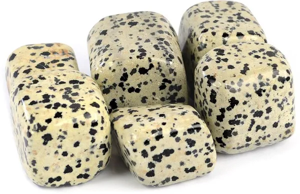Multiagate_100%_Natural_Crystal_New-43-Dalmatian_Jasper-Tumble-stone-200gm_1_Regular_Asymmetrical_Crystal_Stone_(Multicolor_200_g)