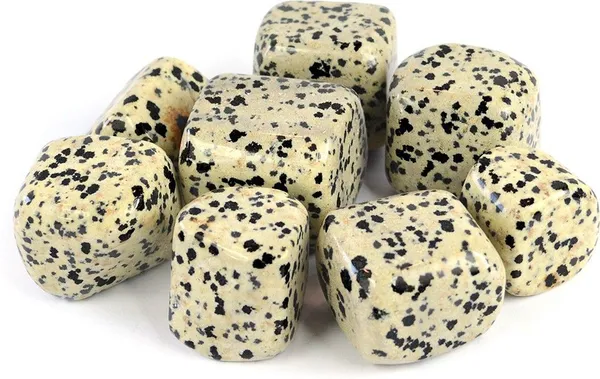 Multiagate_100%_Natural_Crystal_New-43-Dalmatian_Jasper-Tumble-stone-200gm_1_Regular_Asymmetrical_Crystal_Stone_(Multicolor_200_g)