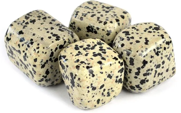Multiagate_100%_Natural_Dalmatian_JasperCrystal_Tumble_Stone_50gm_Polished_Asymmetrical_Crystal_Stone_(Beige_50_g)