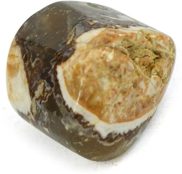 Multiagate_146-Wood_Agate-Single-Tumble-Stone-1pc_Polished_Asymmetrical_Crystal_Pebbles_(Multicolor_1_Pieces)