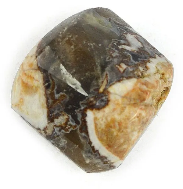 Multiagate_146-Wood_Agate-Single-Tumble-Stone-1pc_Polished_Asymmetrical_Crystal_Pebbles_(Multicolor_1_Pieces)