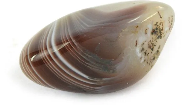 Multiagate_24-Botswana_Agate-Single-Tumble-Stone-1pc_Polished_Asymmetrical_Crystal_Pebbles_(Multicolor_1_Pieces)