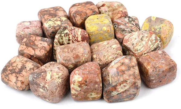 Multiagate_100%_Natural_Crystal_New-79-Leopard_Skin_Jasper-Tumble-stone-100gm_Regular_Asymmetrical_Crystal_Stone_(Multicolor_100_g)