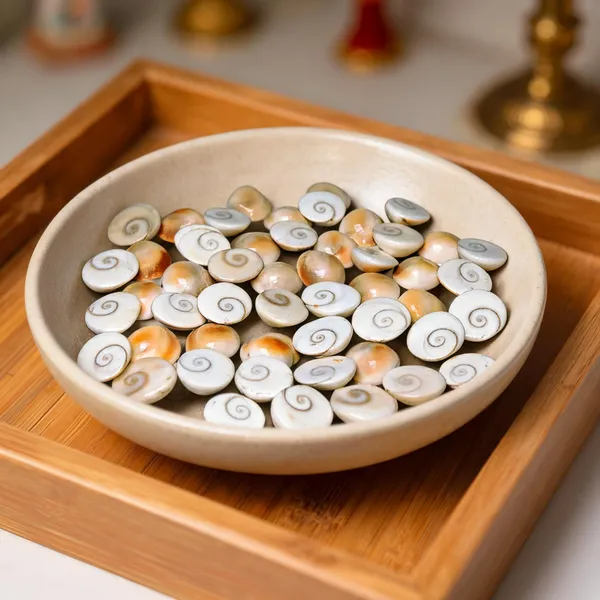 Gomati_Chakra_River_Stones