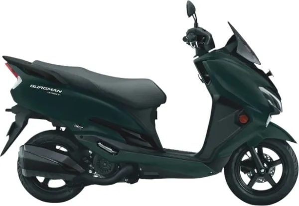 FI-BRANDS_INDIA_Front_Mud_Guard_For_Suzuki_BURGMAN_STREET_PEARL_MATTE_SHADOW_GREEN_NA_(Green)