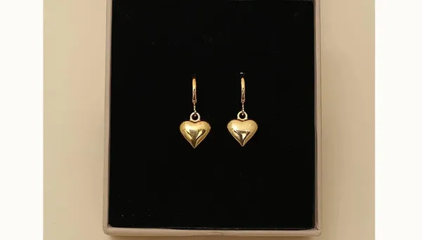 Gold_Stainless_Steel_Drop_Earrings_For_Women