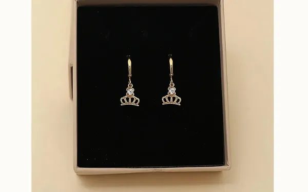 Silver_Stainless_Steel_Drop_Earrings_For_Women
