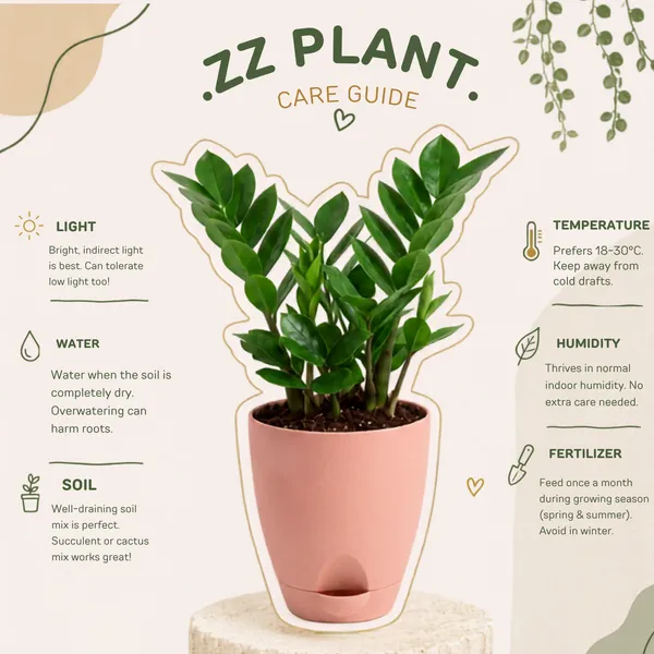 ZZ_Plant