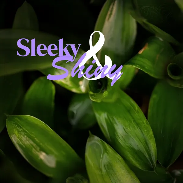 2_Layer_Lucky_Bamboo_Live_Tabletop_Decor_Plant