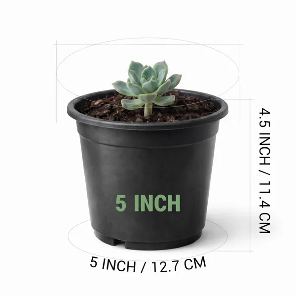 Plastic_Gardening_Pots_For_Home_Garden_Pack_Of_6_Pack_Of_3
