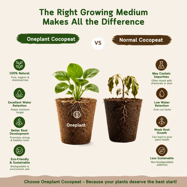 Compressed_Coconut_Coir_Cocopeat_Block_1_Kg_Pack_Of_2