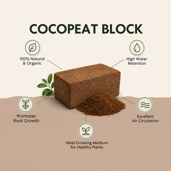 Compressed_Coconut_Coir_Cocopeat_Block_1_Kg_Pack_Of_2