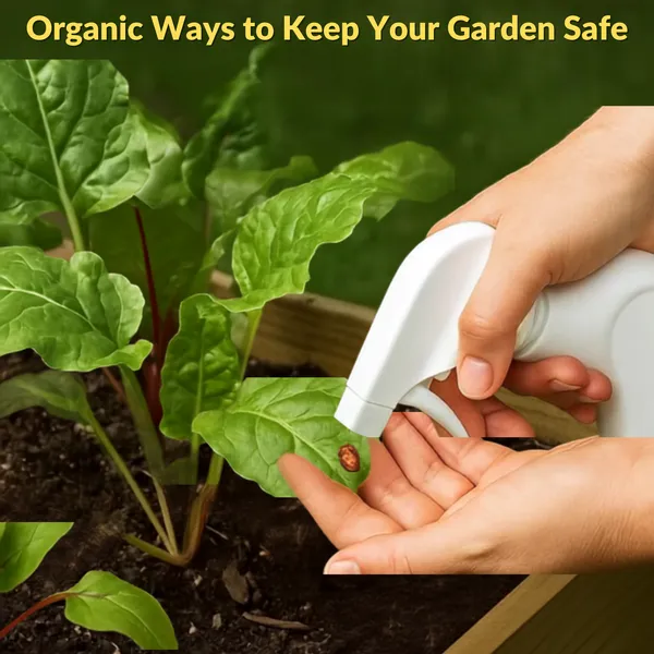 Neem_Seed_Oil_Natural_Plant_Pest_Control_Pack_Of_2