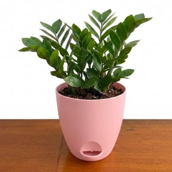 Pink_Plastic_Self_Watering_Pot_With_Water_Reservoir_Pack_Of_2