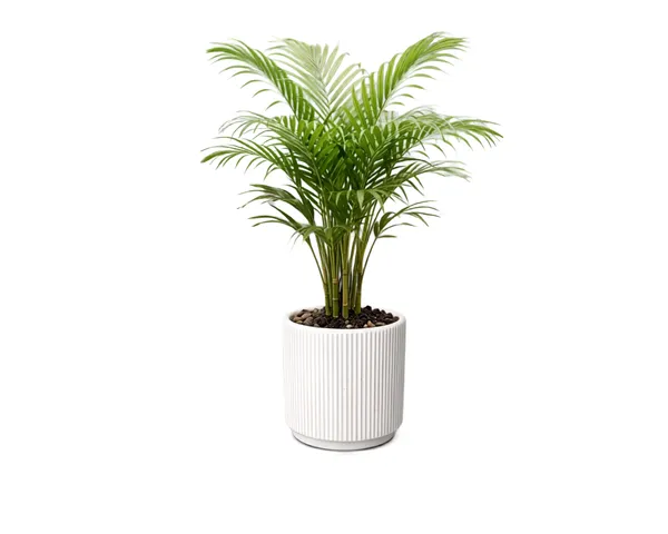 White_Ribbed_Pedestal_Ceramic_Planter_Pot
