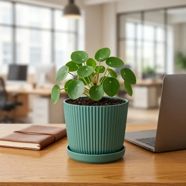 Green_Vertical_Fluted_Ceramic_Indoor_Planter_Pot