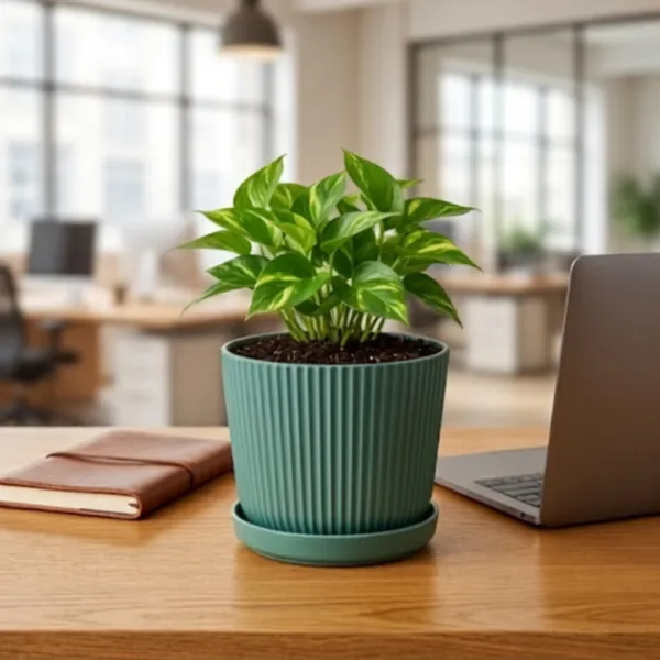 Green_Vertical_Fluted_Ceramic_Indoor_Planter_Pot